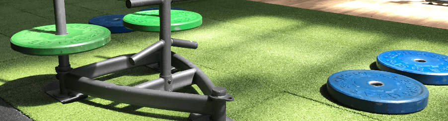 Artificial Grass