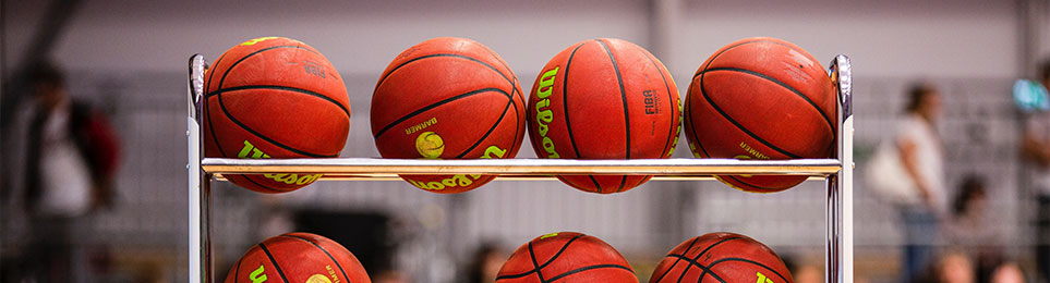 Training Basketball Balls