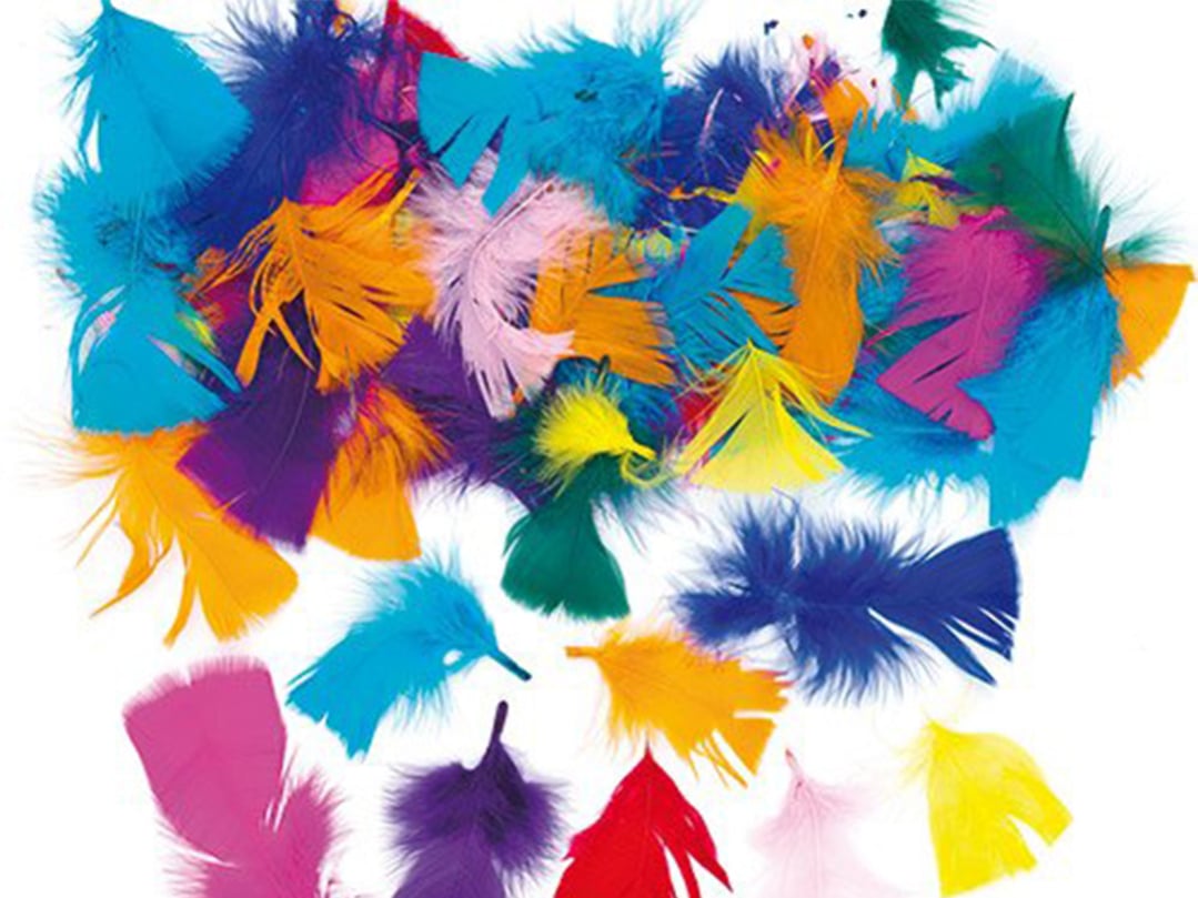 Decorative feathers, colorful, 20 pieces.