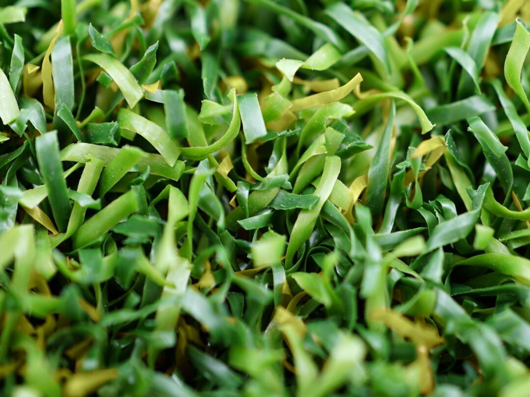 Polytan® artificial turf LigaGrass® Synergy R