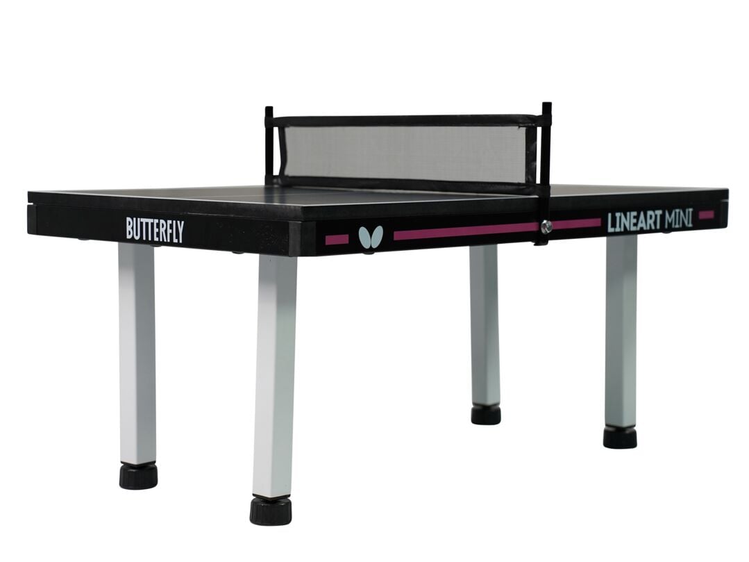 Butterfly® Table Tennis Table Mini-Table
