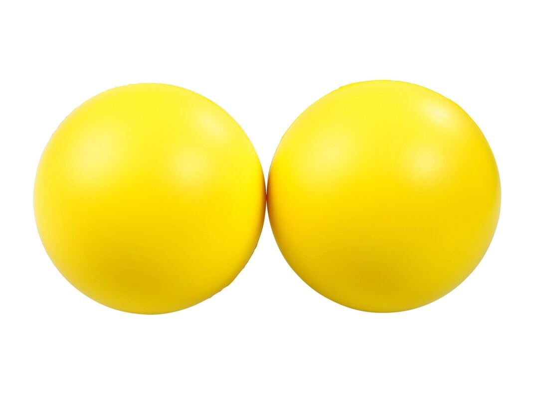 Lenkball® LenVolley