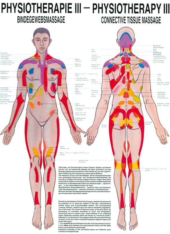 Poster - Connective Tissue Massage