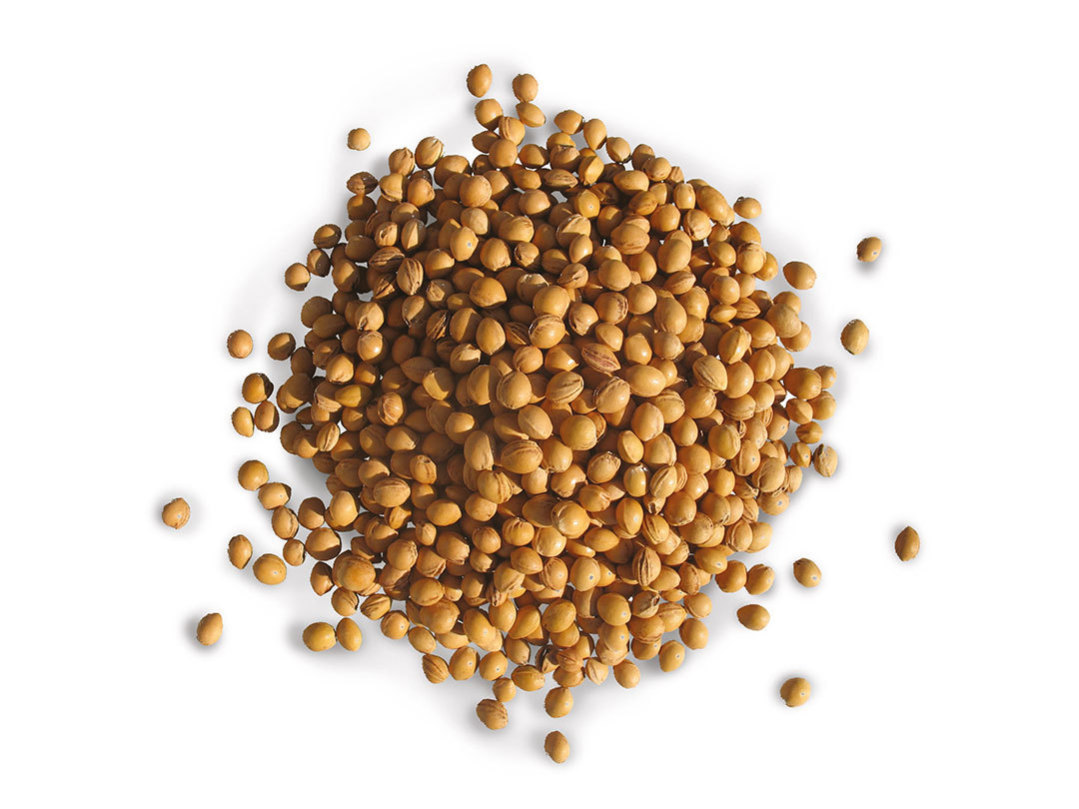 Wenea® cherry stones