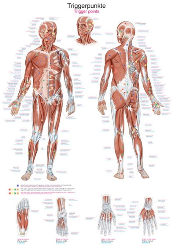 Instructional Chart - Trigger Points