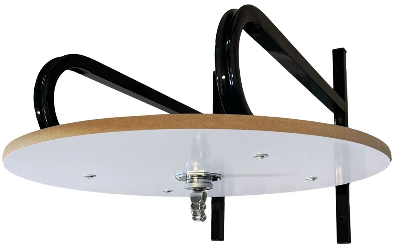 Wall Mount Speedball