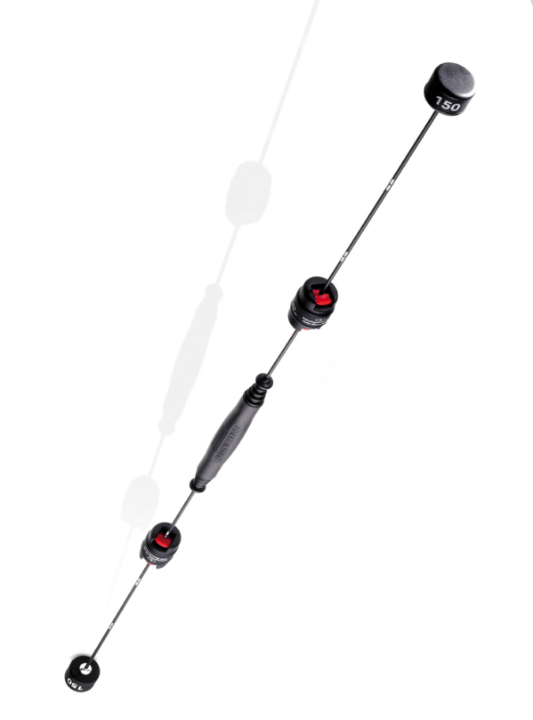 ARTZT vitality® Bioswing with adjustable resistance