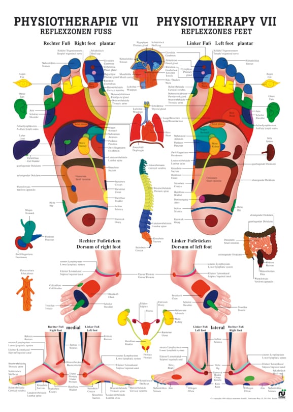 Poster - Reflexology Foot