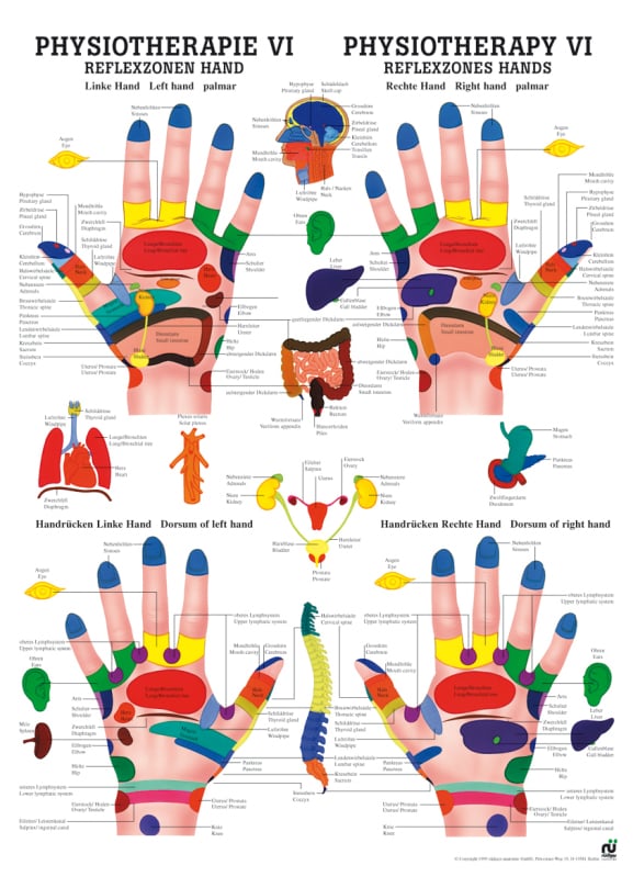 Poster - Hand Reflex Zones