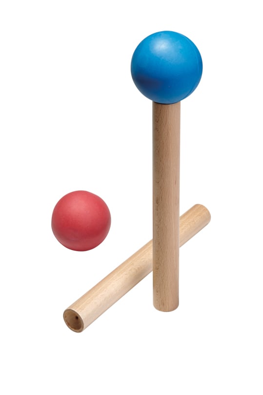 Ball carrying stick