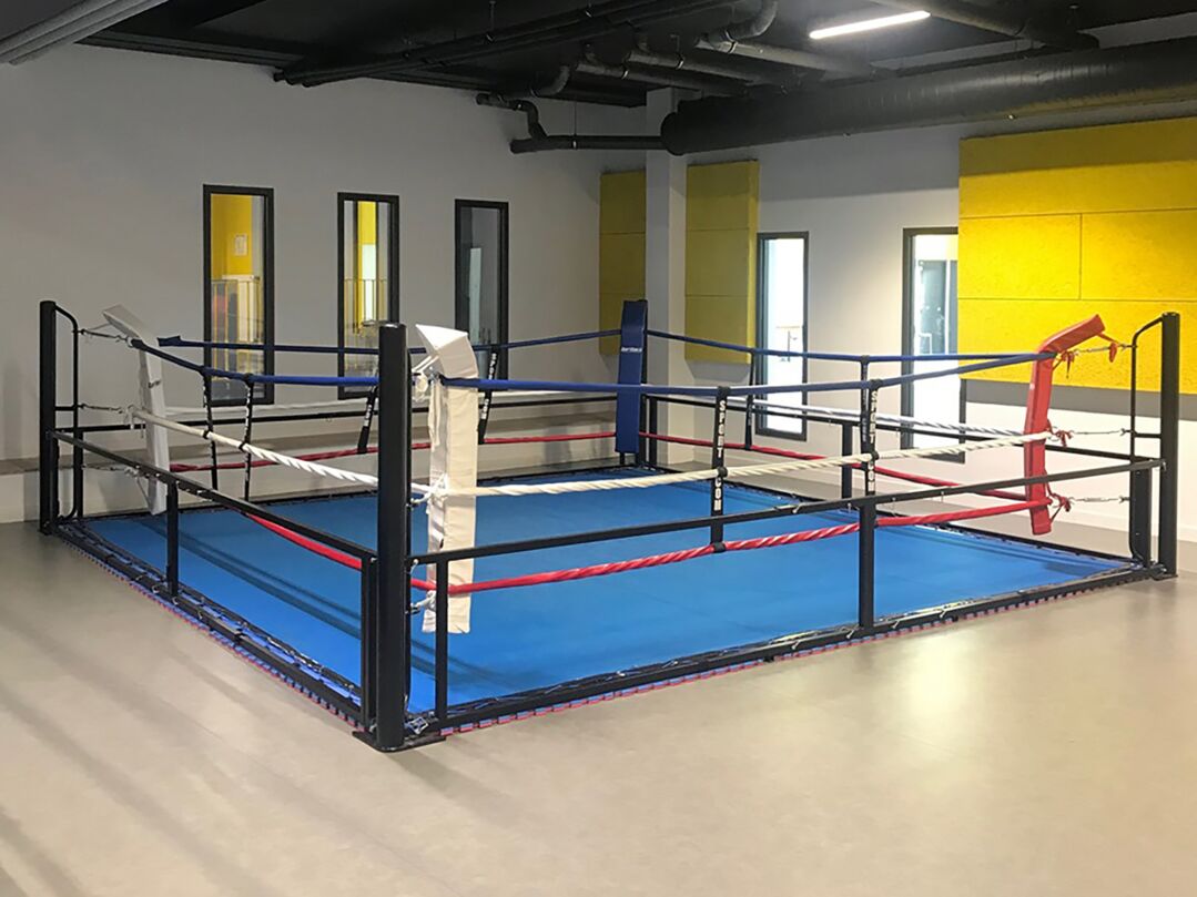 Mobile Boxing Ring including mat
