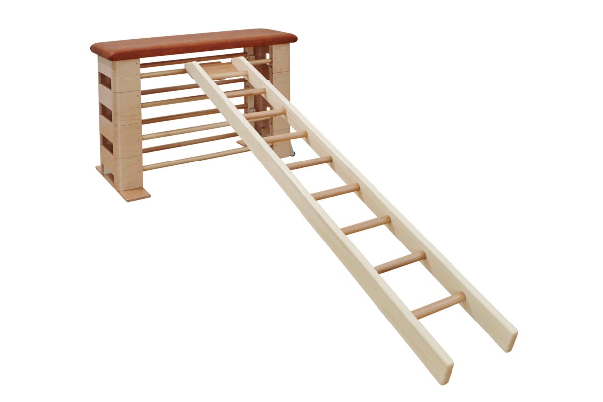 Kübler Sport Climbing Ladder VARIANTA