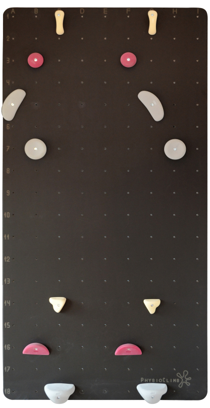 PhysioClimb® Climbing Wall Standard