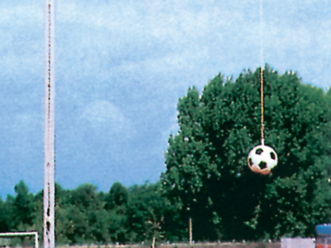 Replacement Hanging Rope for Medicine Ball 