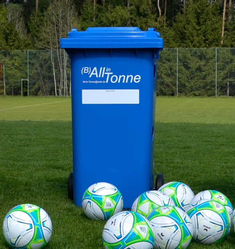 All-in-One Ball Storage Bin