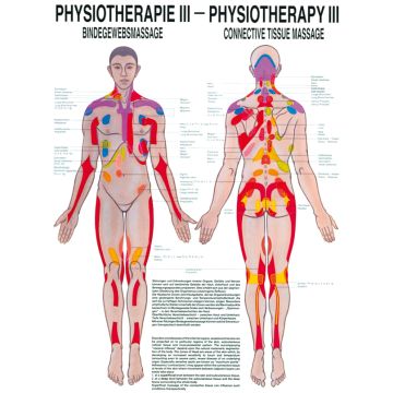 Poster - Connective Tissue Massage