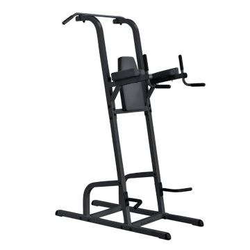 Body-Solid® Pull-Up & Dip Station