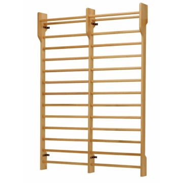 Ferrox® Double Section Wall Bars, 250 x 180 cm