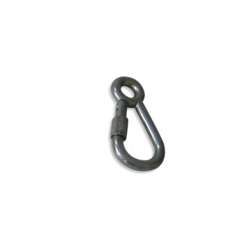Screw Carabiner with Eye