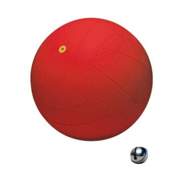 WV® Torball