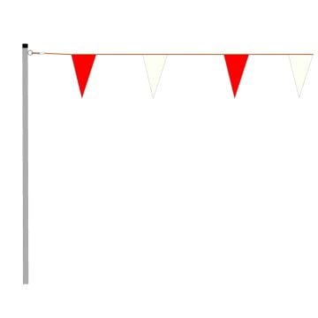 Backswimmer Visibility System
