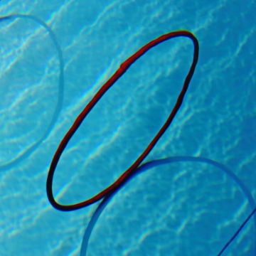 Kübler Sport® Diving Rings