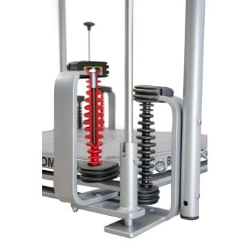 BIOSWING Posturomed® Swinging Element