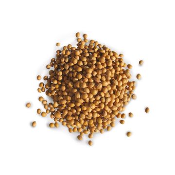 Wenea® cherry stones