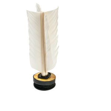 Feather Football Sport-INN