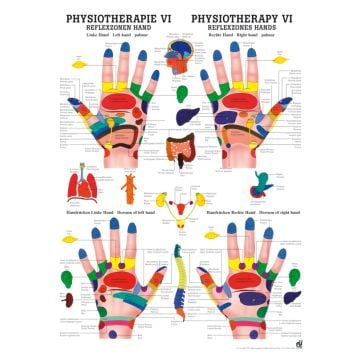 Poster - Hand Reflex Zones