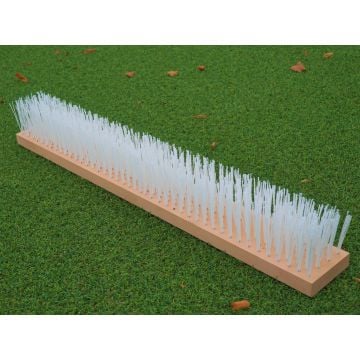Polytan brush body for ACS 210 care device.