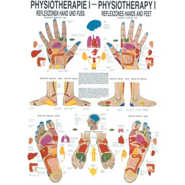 Poster - Reflex Zones