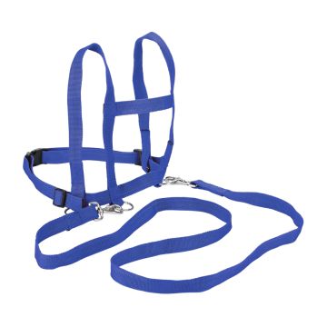 Horse leash with harness