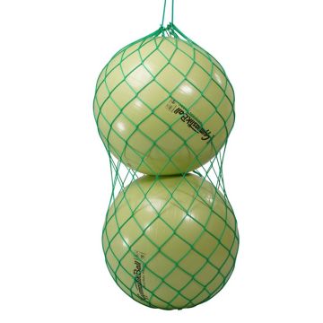 Ball net for exercise balls