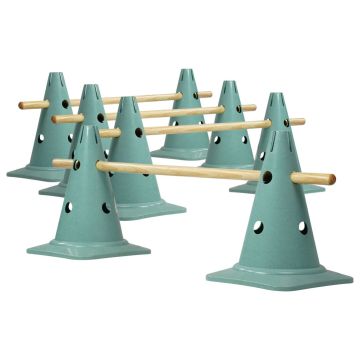Bio-Kegelhurdles 4-piece set NATURAL made from renewable resources