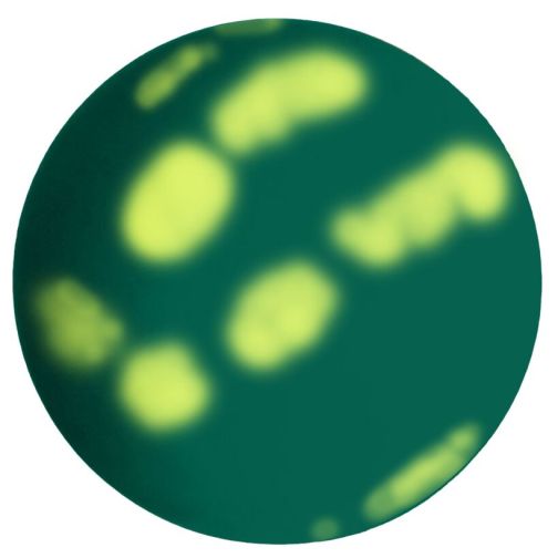 Schildkröt® High Bounce Thermo Grip Ball