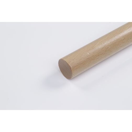 Ball carrying stick