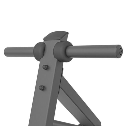 Marbo Sport® Dumbbell Plate Rack MP-S203