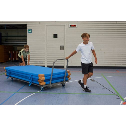 Kübler Sport® Mat Cart