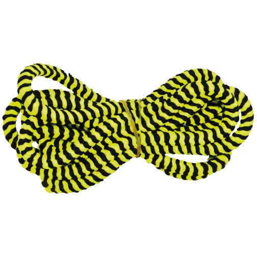 Jump Rope and Elastic Twisting Band