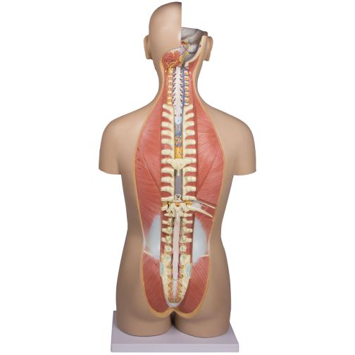 27 pieces