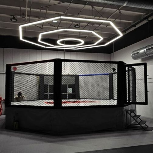 MMA Cage with Platform