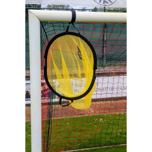 Powershot® Soccer target with ball net function