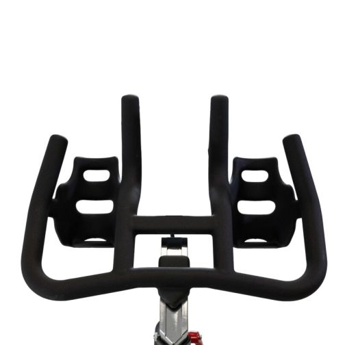 BH Fitness® Indoor Bike Duke H920R