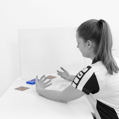 Therapy Mirror System Move Control
