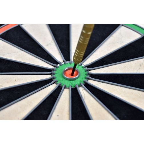 Karella® Dartboard Master