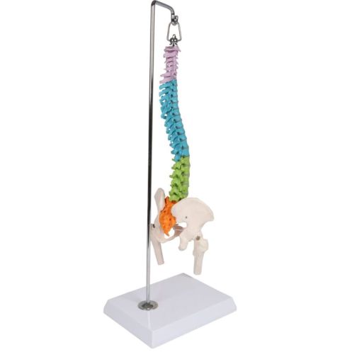 Erler-Zimmer Flexible Mini Spine