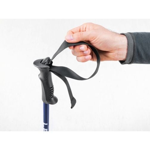LEKI® Trekking Poles EAGLE
