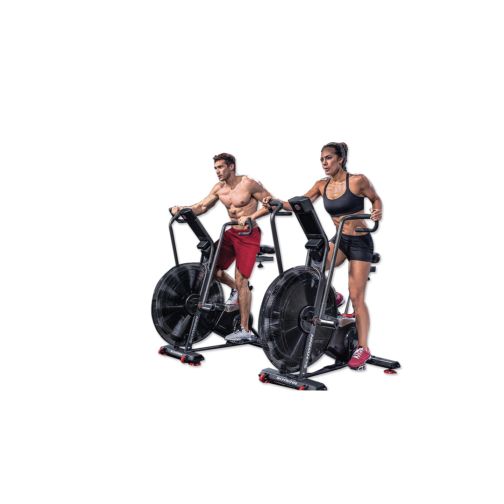 Schwinn® Airdyne® AD8