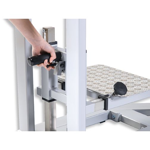 Combination Device Hip Trainer